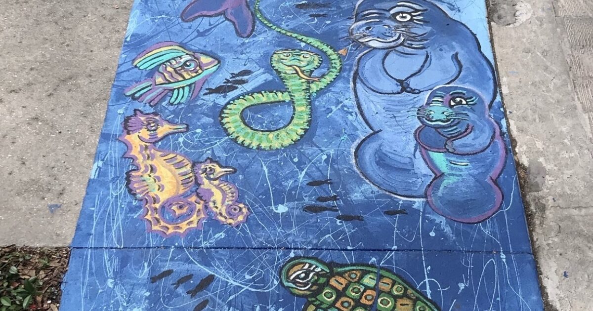 Avenue Of Art Chalk Festival Sarasota Wild