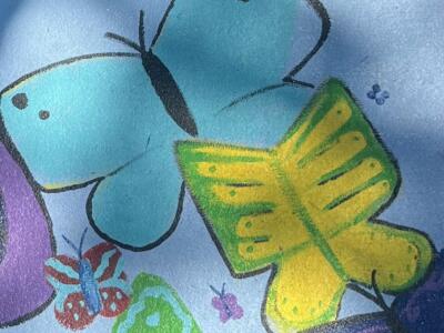 IMG 9312 crop