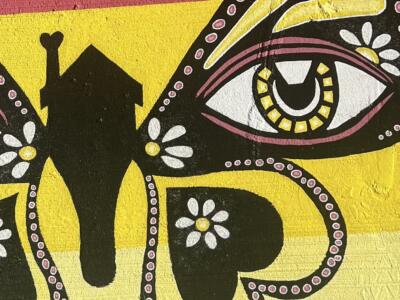 IMG 9650 crop