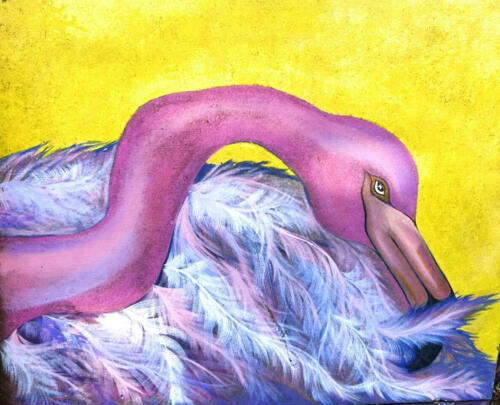 A Murray Flamingo
