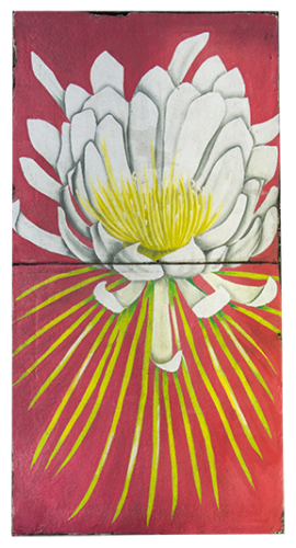 C Fi 9962