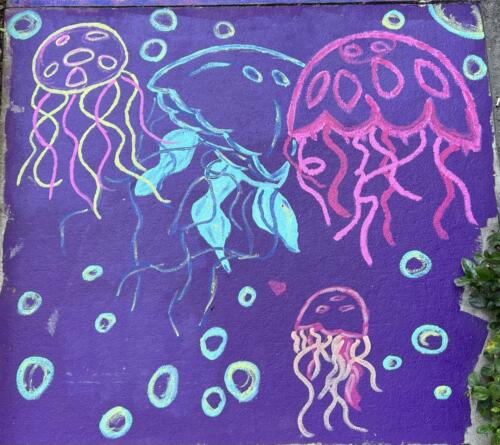 IMG 3363 jelly