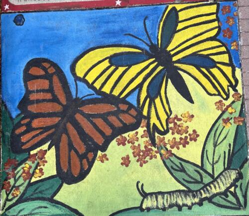 IMG 3373 butterfly