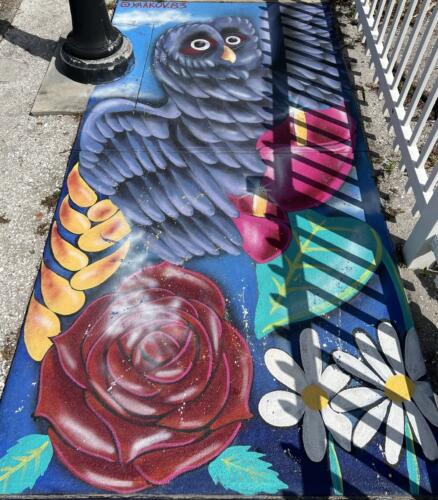 IMG 4282 owl