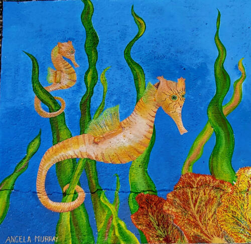 Seahorse