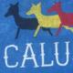 IMG 9615